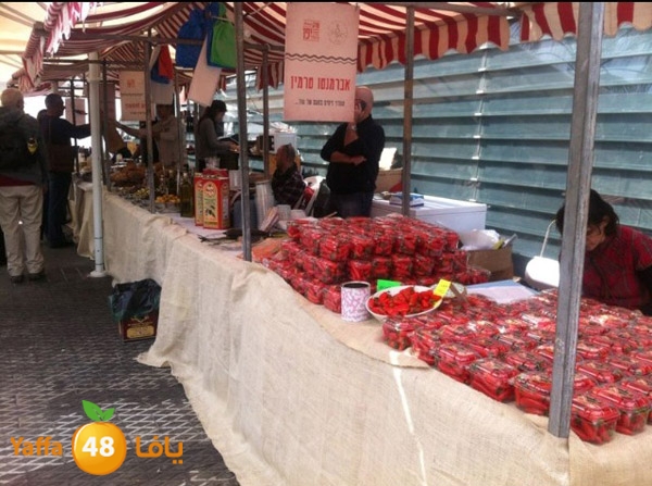 sookelmina2u5 (11).jpg